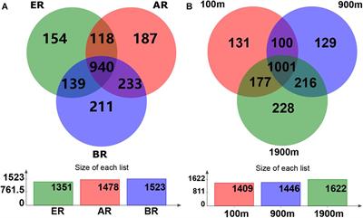 Soil Fungal Community in Grazed Inner Mongolian Grassland Adjacent to Coal-Mining Activity